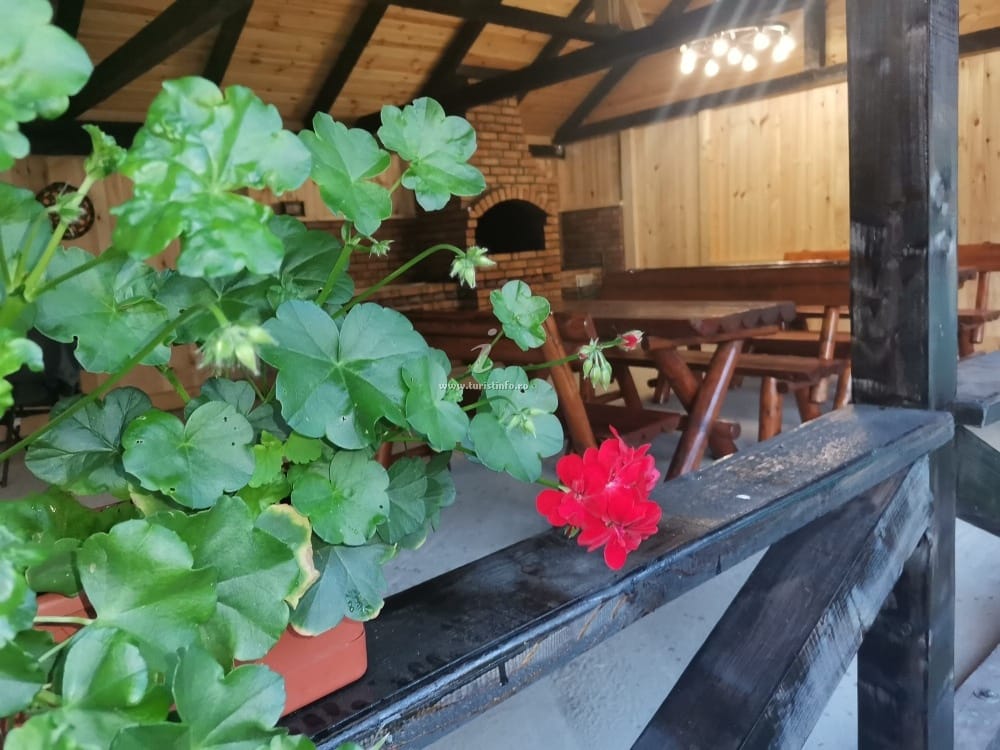 Terasa exterioara Vila Alice & Denis