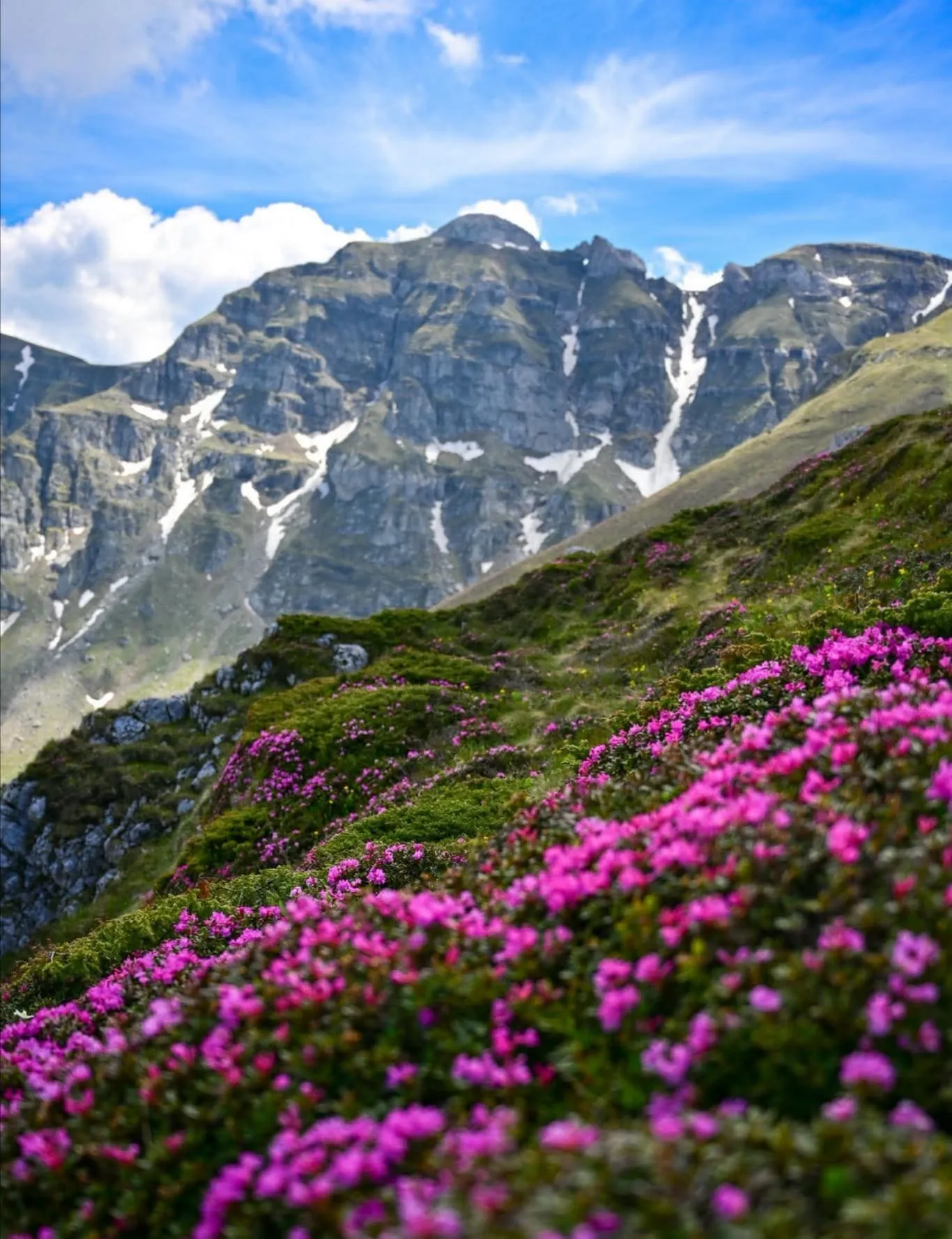 Vila Alice & Denis Interior