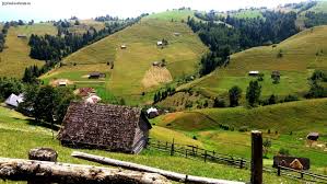 Activitate Vila Alice & Denis